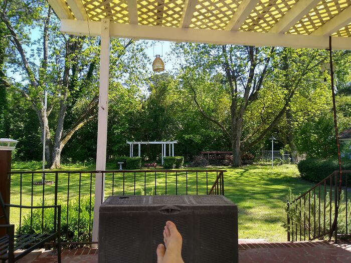 My Tranquil Backyard