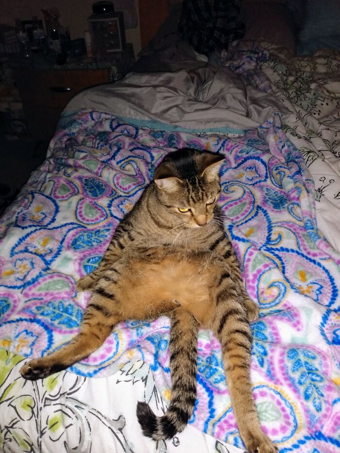 Would Someone Please Hand Me The Remote