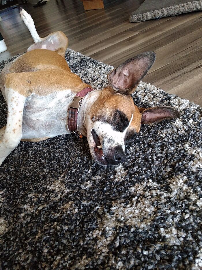 A Relaxing Weekend At A Cabin After Playing With Her Baby Sister. Miss You Lucy