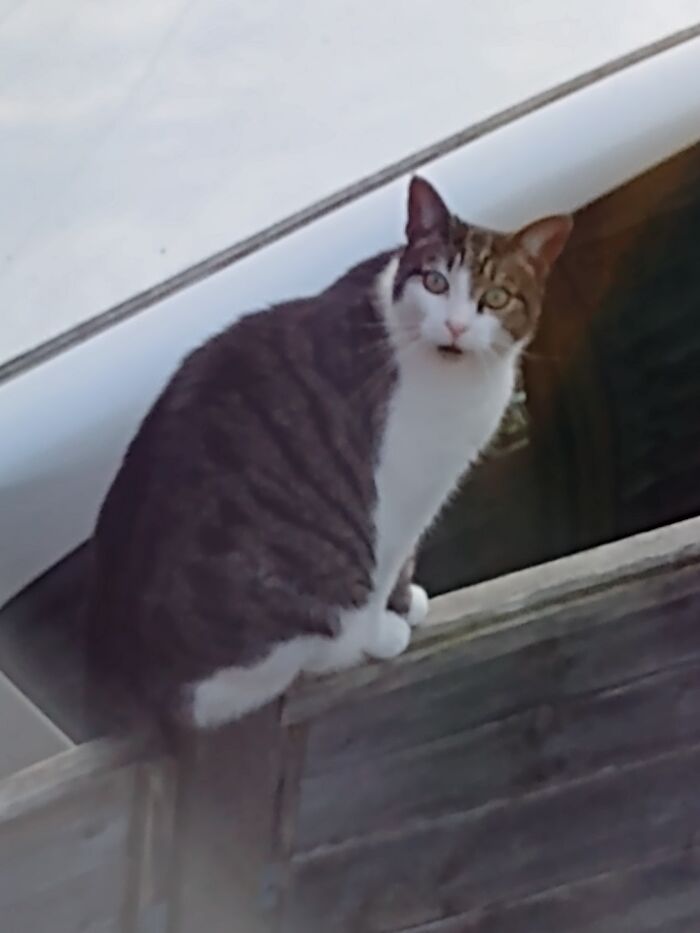 Didn't Expect To See You