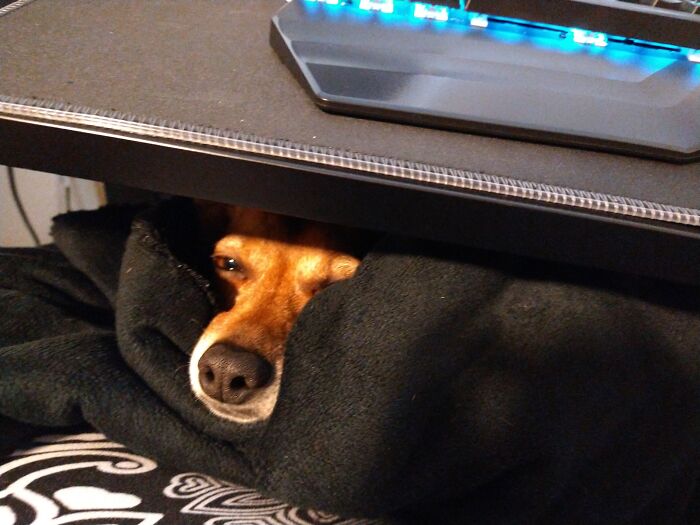 My Coworker/Supervisor Faking Asleep On The The Job