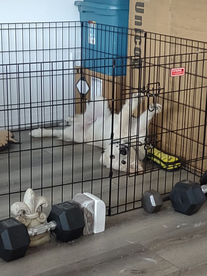 When You're In The Middle Of A Zoom Meeting And You Can Tell Boredom Has Officially Set In