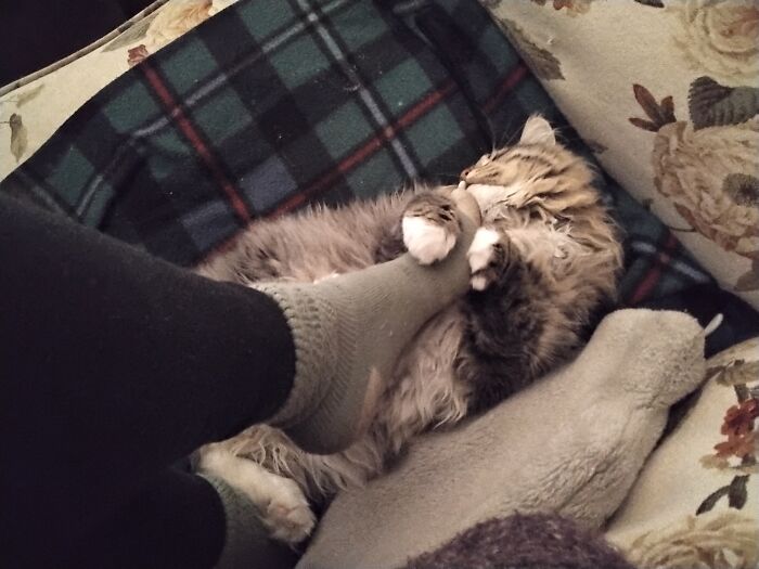 My Foot Is Her Fav Teddy