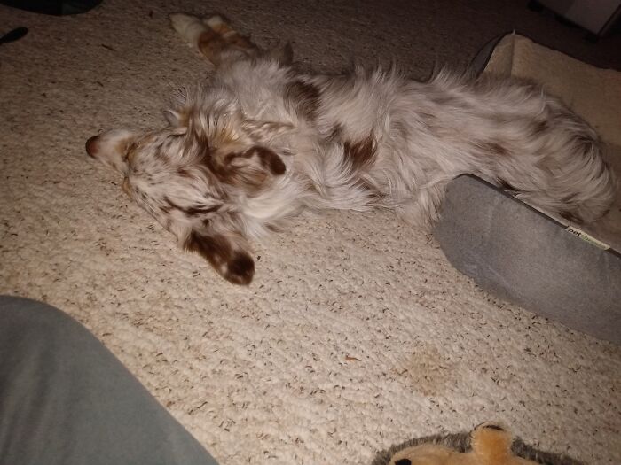 This Is How She Uses Her Bed, Every Night.