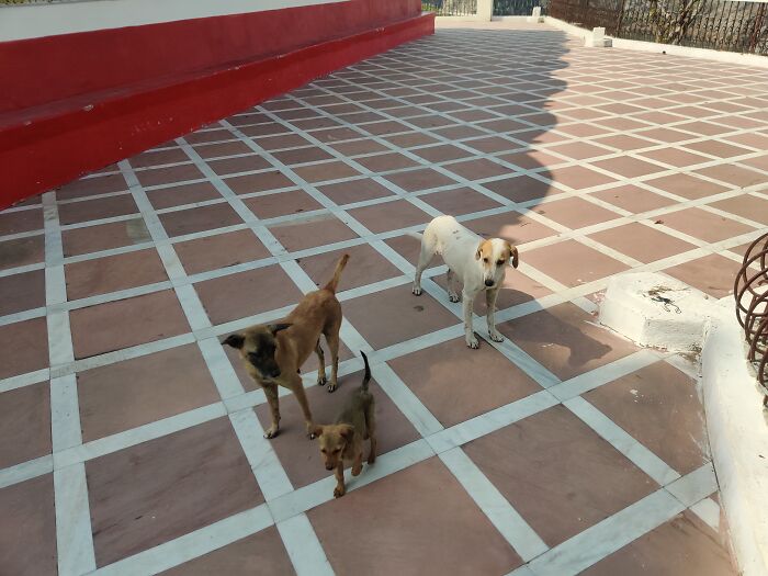 Went On A Vacation . Met These Loving People . Kid Was Kinda Mischievous