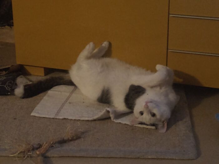 Always Does Weird Things That Make Me Smile. He's A Little Idiot But I Love Him To Bits.