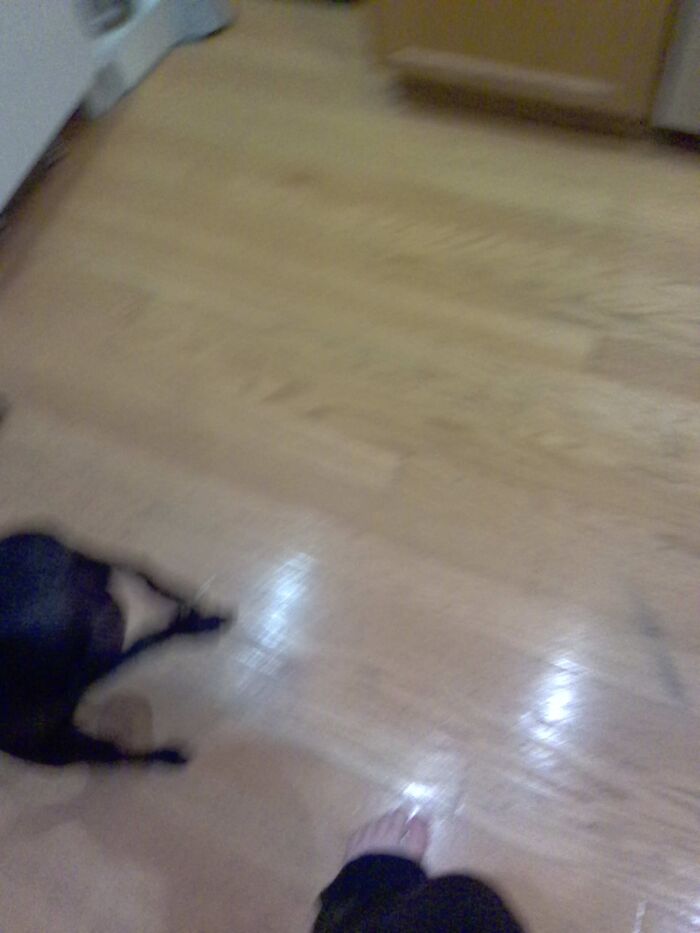 "I Worship You. But If You Do Not Give Me Food.... I Run"