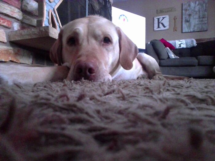 Toby(He Woke Up When I Took It)