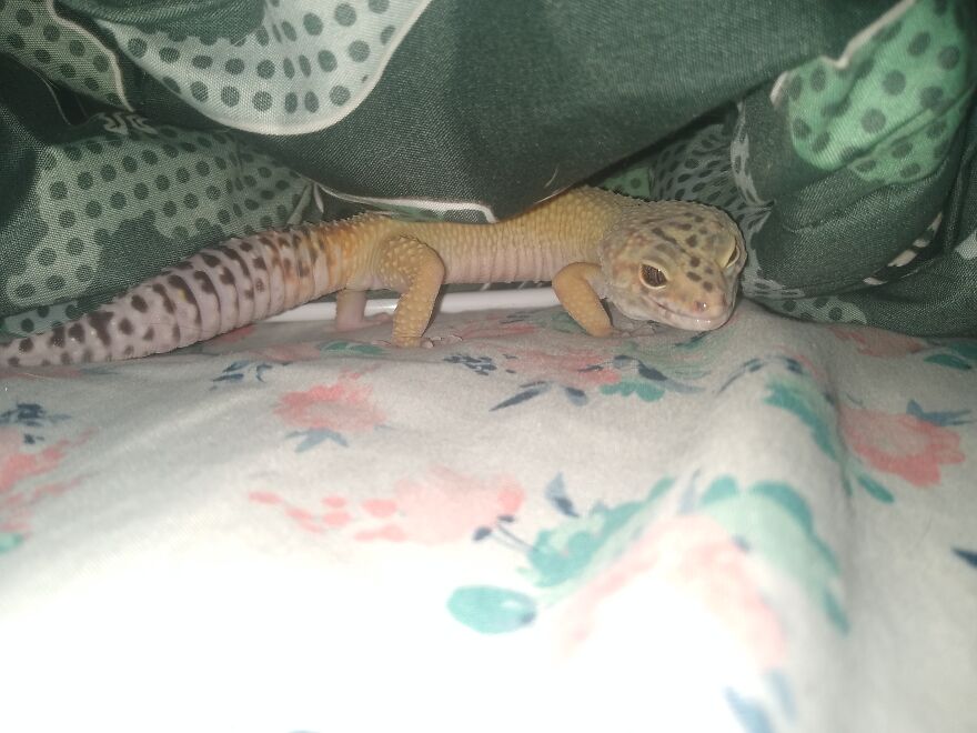 I'm Sleeping Mom. Go Away.