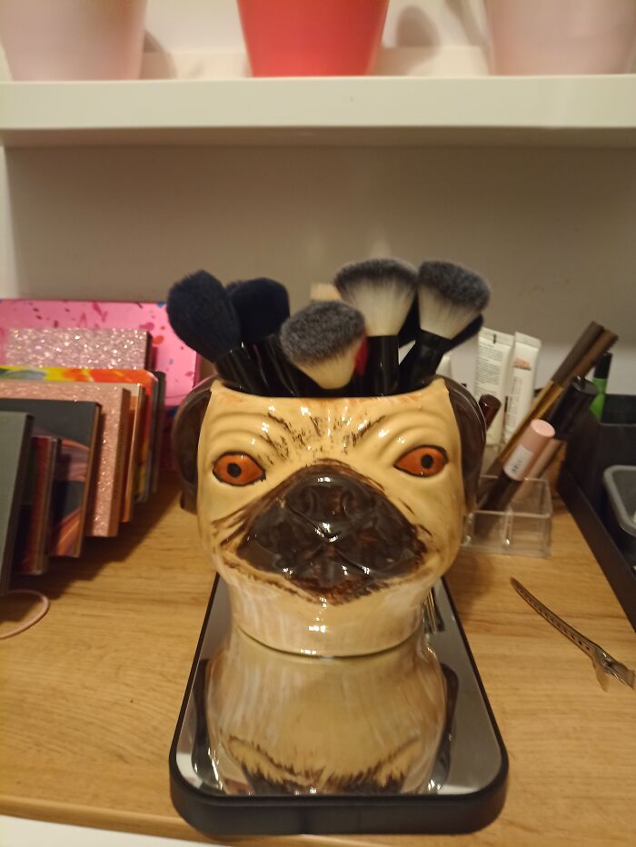 It's Cricked, But I Just Love It's Eyes 😂