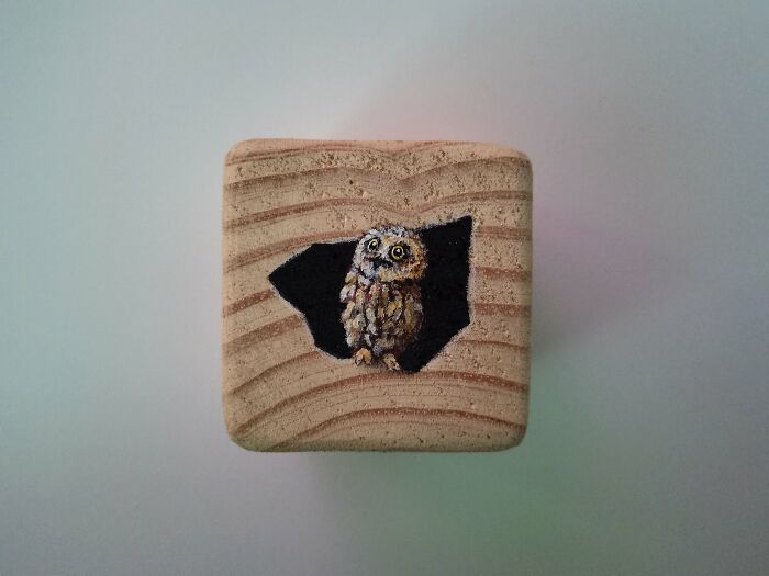 I Paint Animals On Wooden Cubes (12 Pics)