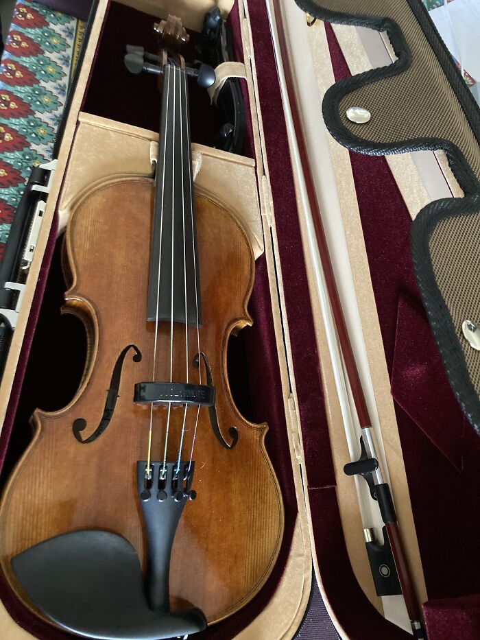 Just 1 Of My Violins