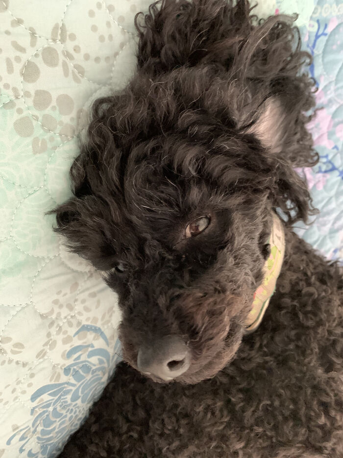 Dis Ma Tinder Profile Pic