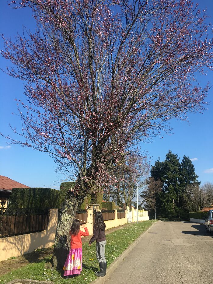 Spring 2022 (France)