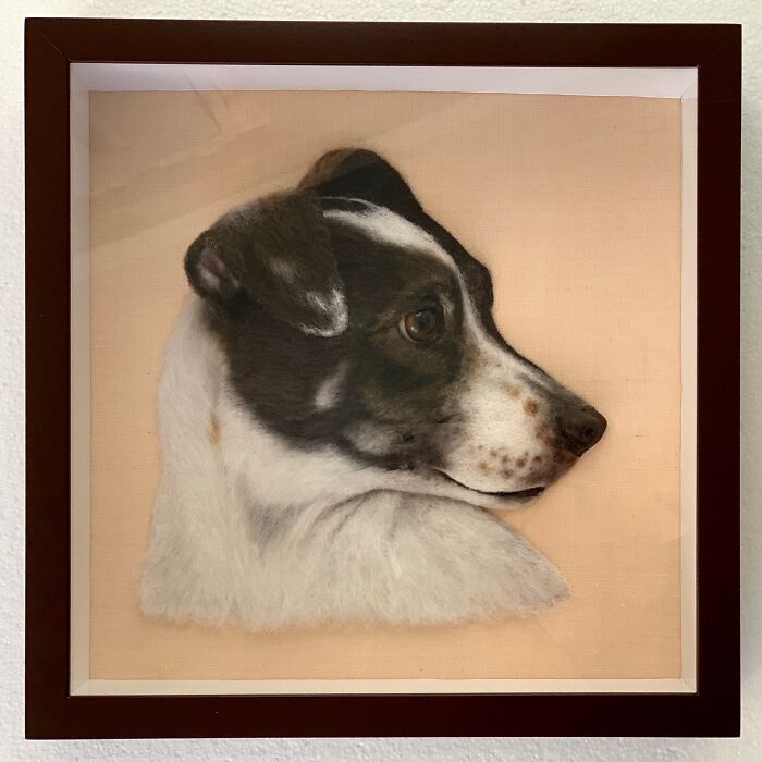 These Realistic Animal Faces Delight Some, Horrify Others. But These Portraits Do Not Leave Anyone Indifferent