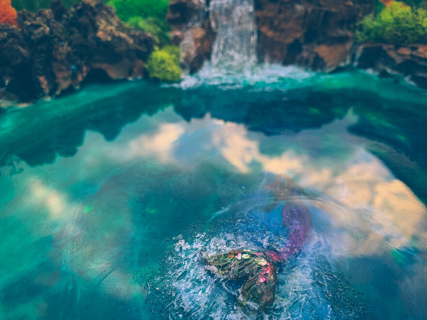 I Made These Beach-And-Lake-Inspired Wall Art Pieces With Preserved Moss