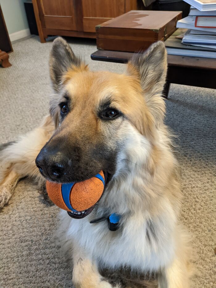 Kokyu Is All About The Balls!