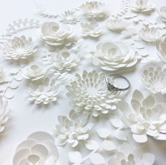 Magnificent Paper Sculptures By Lisa Lloyd (New Pics)