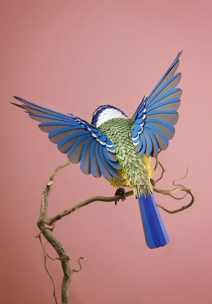 Magnificent Paper Sculptures By Lisa Lloyd (New Pics)