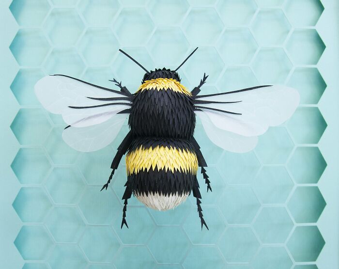 Magnificent Paper Sculptures By Lisa Lloyd (New Pics)