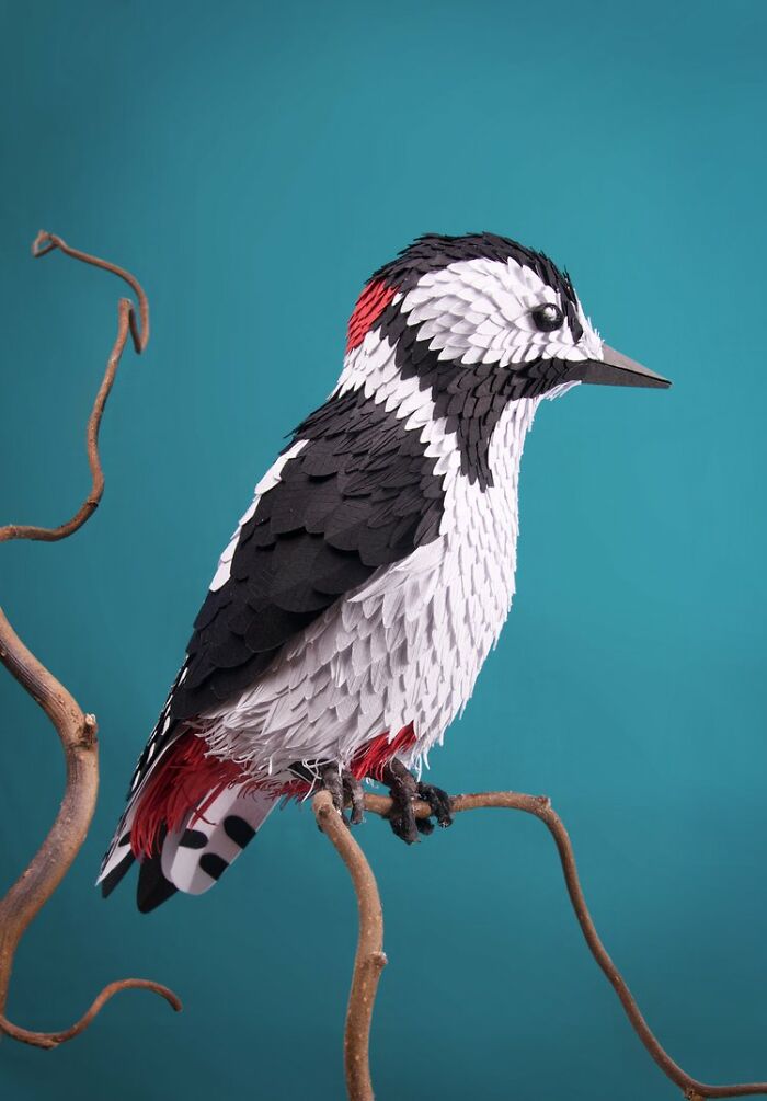 Magnificent Paper Sculptures By Lisa Lloyd (New Pics)