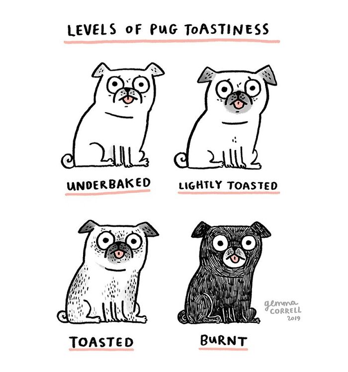 Meet Gemma Correll's Fun Comics