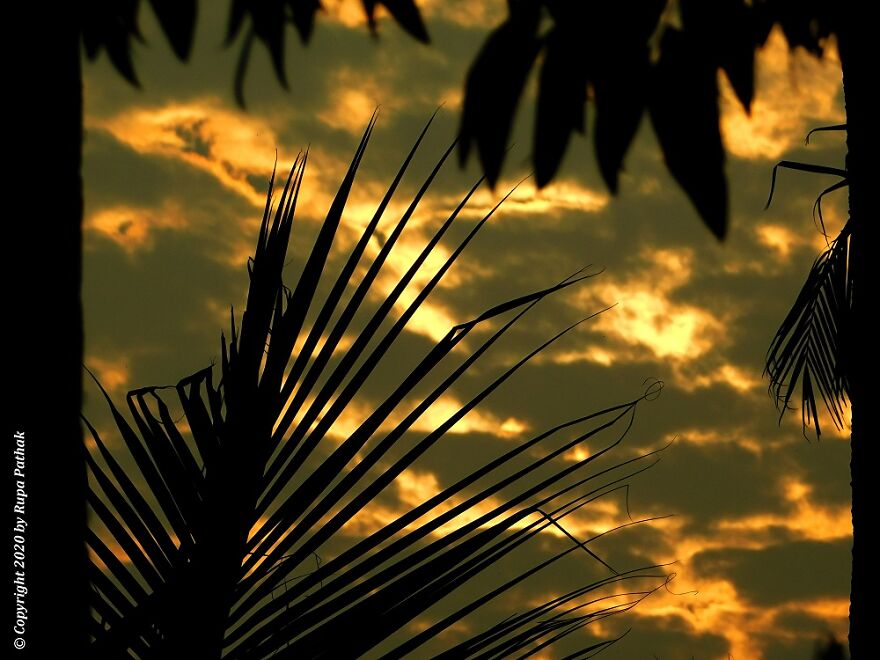 My Photography- My Gallery My Photography- My Gallery