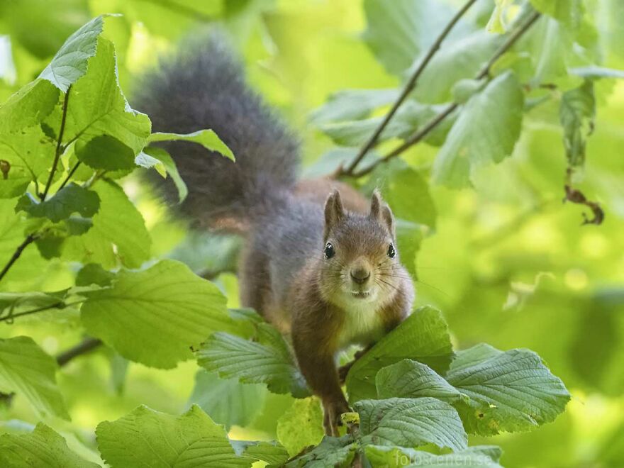 The Past Was Yours, But The Future's Mine