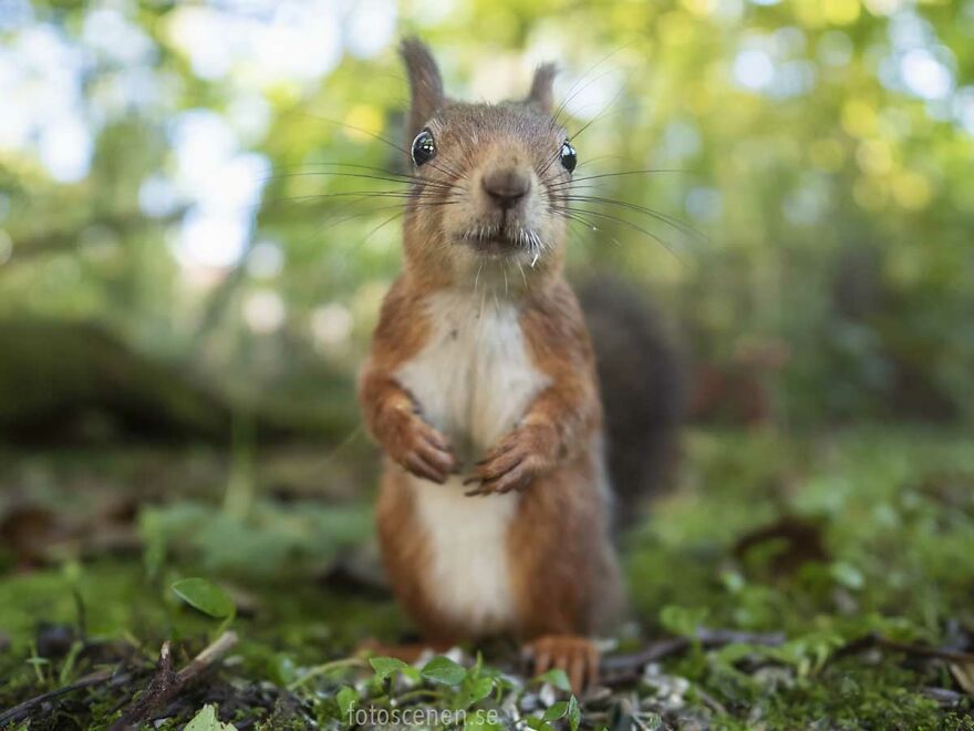 Trying To Smile For The Camera