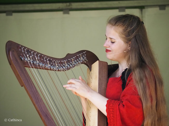 My Little Harp Friend