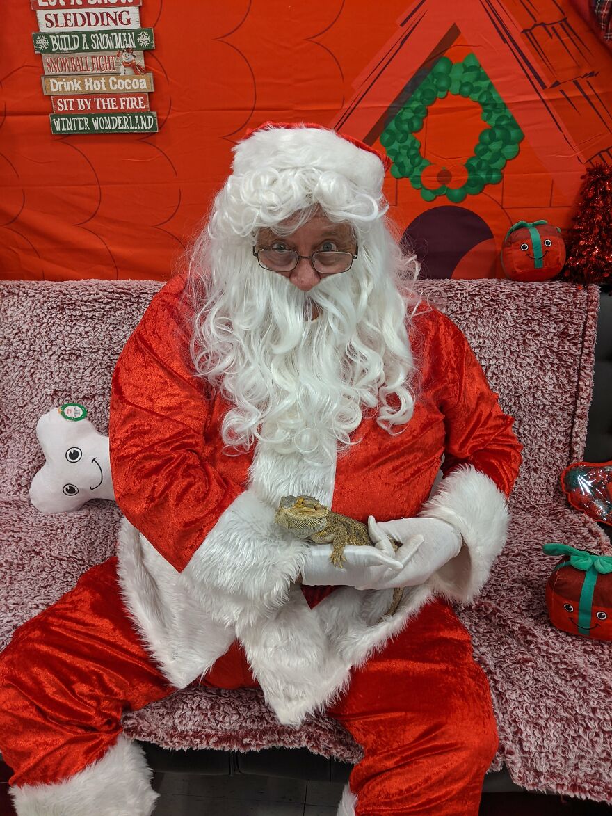 Chewbacca Posing With Santa Paws.