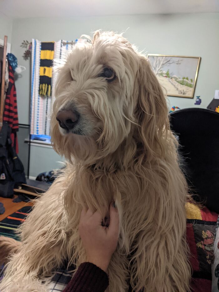 She Didn't Do Anything....