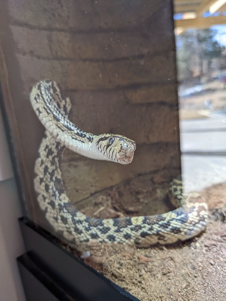 Lil Guy Seemed Interested In Me :>