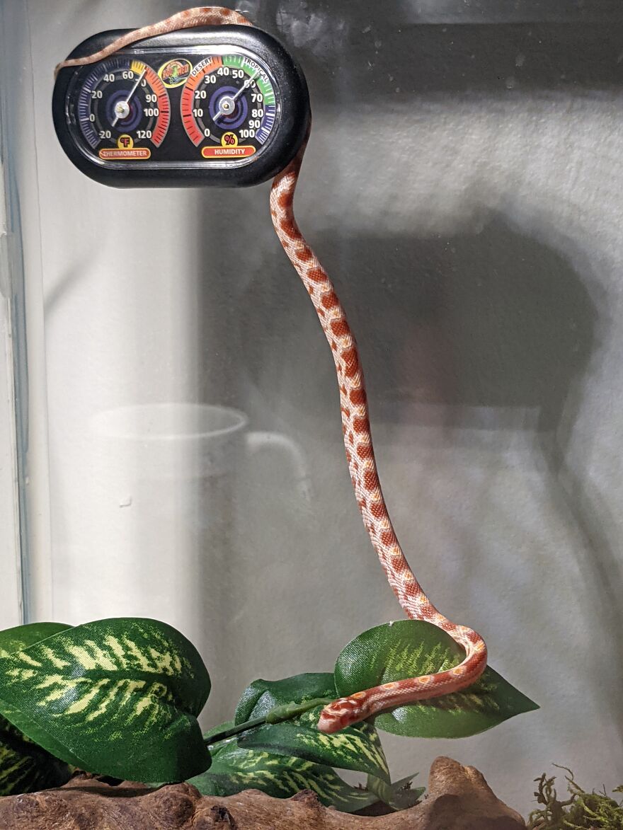 Such A Talented Climber