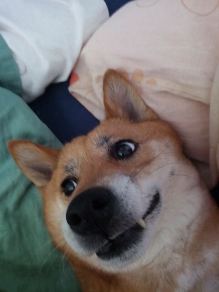 Hrhr No One Is Watching