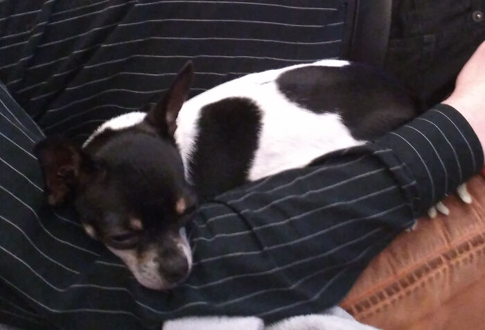 Little Piet In Daddys Arm.