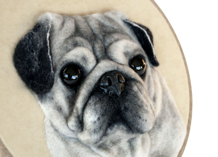 These Realistic Animal Faces Delight Some, Horrify Others. But These Portraits Do Not Leave Anyone Indifferent