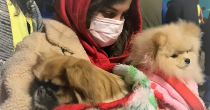 In The Face Of Great Danger, We Are Running An Urgent Appeal To Anyone Interested In Assisting These Animals Across Ukraine In The Face Of Great Danger, We Are Running An Urgent Appeal To Anyone Interested In Assisting These Animals Across Ukraine