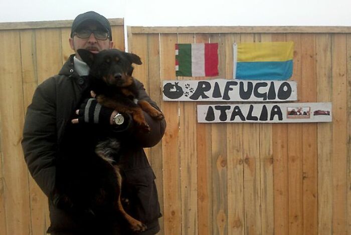 In The Face Of Great Danger, We Are Running An Urgent Appeal To Anyone Interested In Assisting These Animals Across Ukraine In The Face Of Great Danger, We Are Running An Urgent Appeal To Anyone Interested In Assisting These Animals Across Ukraine