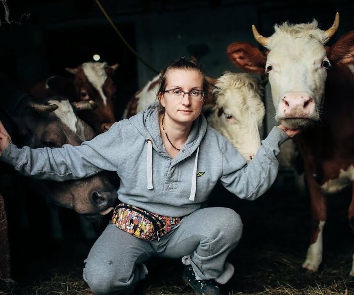 In The Face Of Great Danger, We Are Running An Urgent Appeal To Anyone Interested In Assisting These Animals Across Ukraine In The Face Of Great Danger, We Are Running An Urgent Appeal To Anyone Interested In Assisting These Animals Across Ukraine