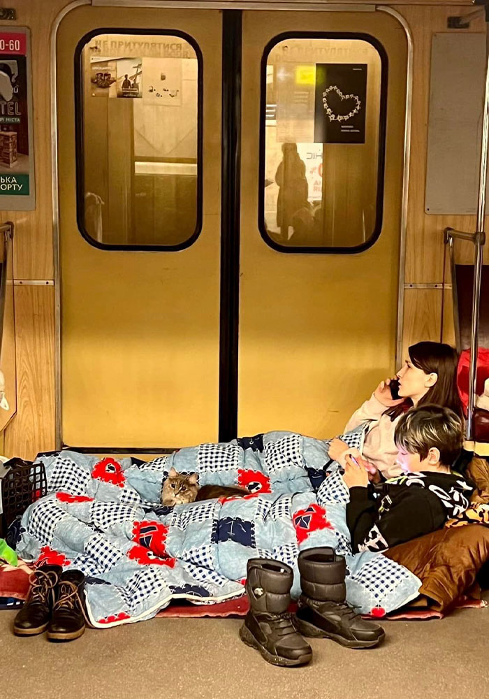 In The Face Of Great Danger, We Are Running An Urgent Appeal To Anyone Interested In Assisting These Animals Across Ukraine In The Face Of Great Danger, We Are Running An Urgent Appeal To Anyone Interested In Assisting These Animals Across Ukraine