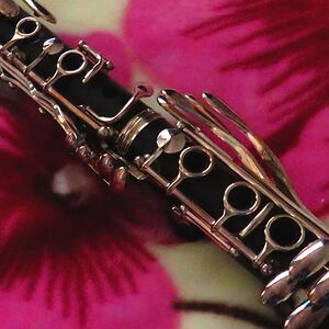 cassieblymire avatar