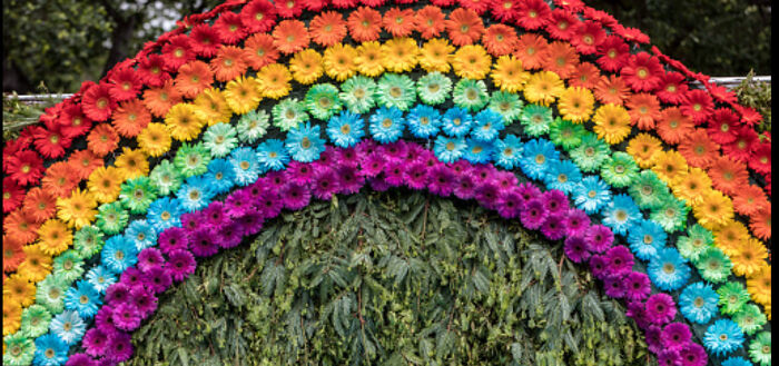 I Did This Last Year Do You Like