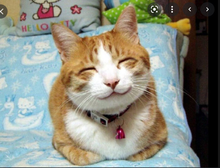 Seeing Him Smile Makes Me Smile