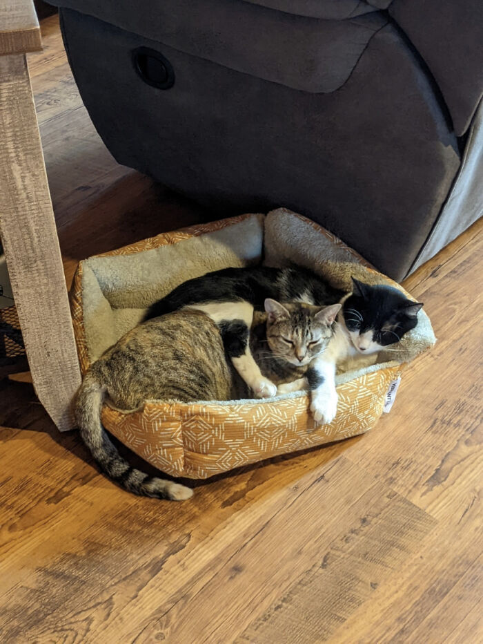 As Long As You're Comfortable...