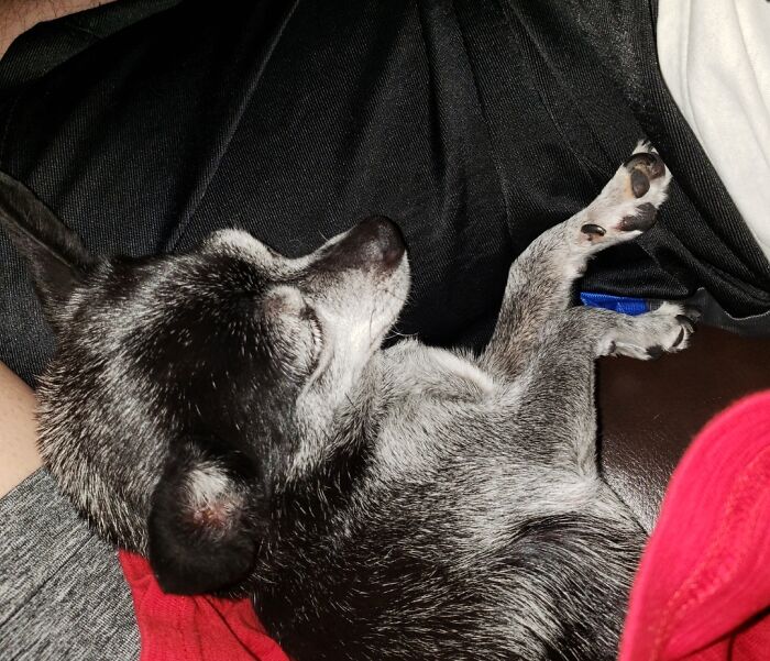 Snuggled Between Her Momma And Poppa.