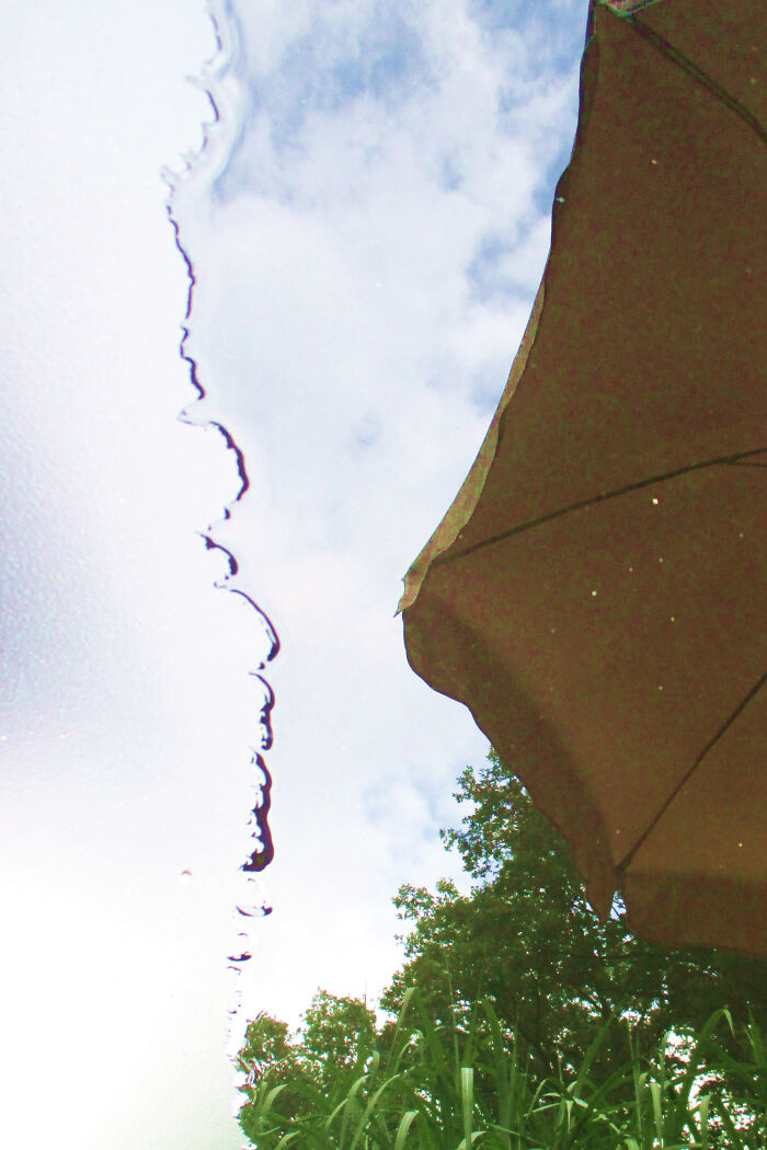 Reflection On A Wet Table