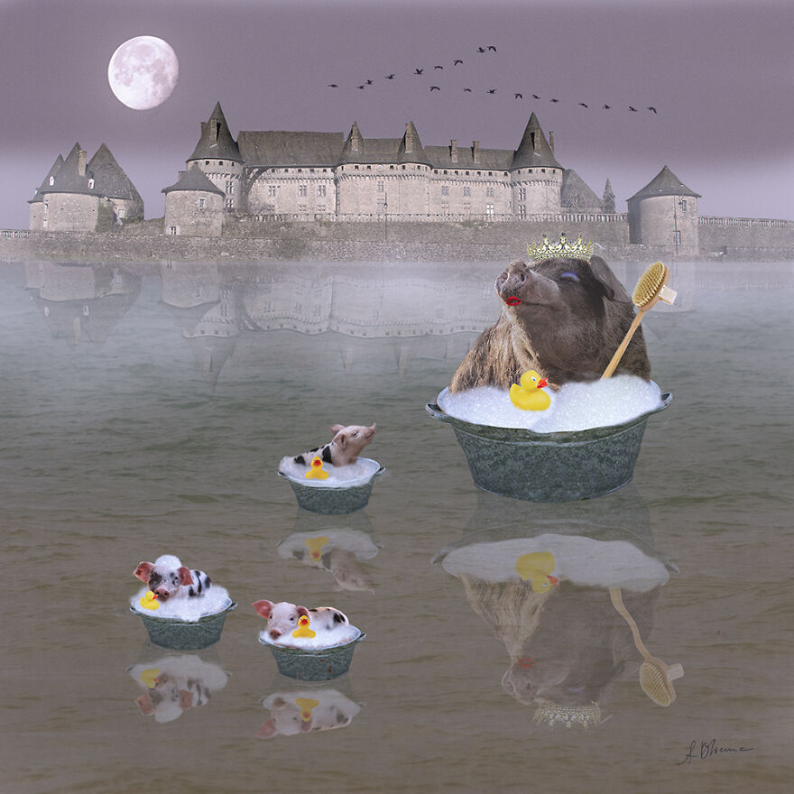 Après Nous Le Déluge