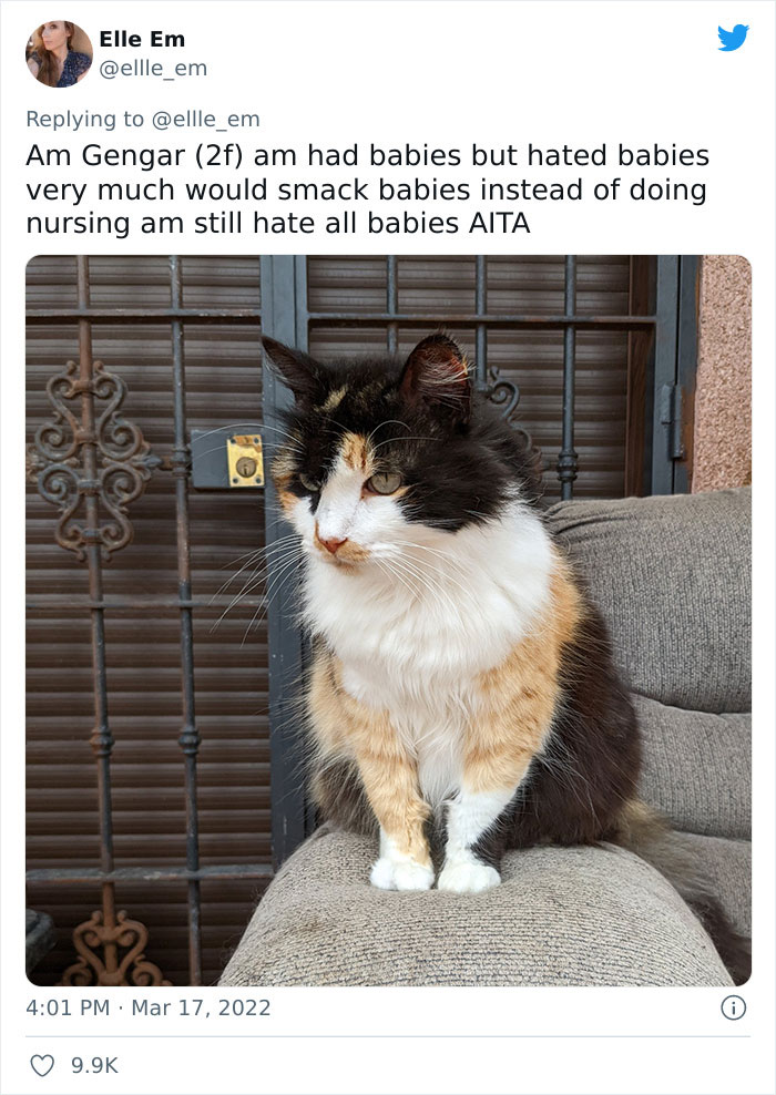 Aita-Cats-Twitter-Thread