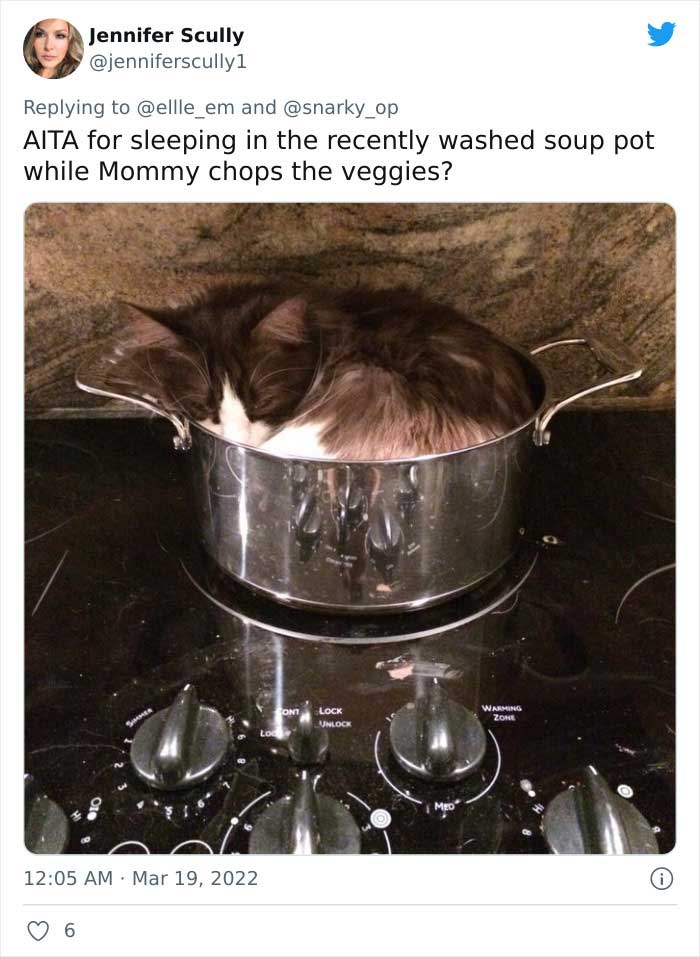 Aita-Cats-Twitter-Thread